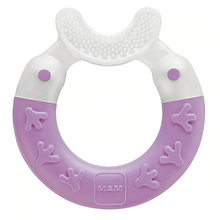 Load image into Gallery viewer, MAM Bite &amp; Brush Teether - Purple