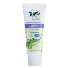 Load image into Gallery viewer, Toms Of Maine Mild Fruit Natural Toddler Training Toothpaste 1.75 oz